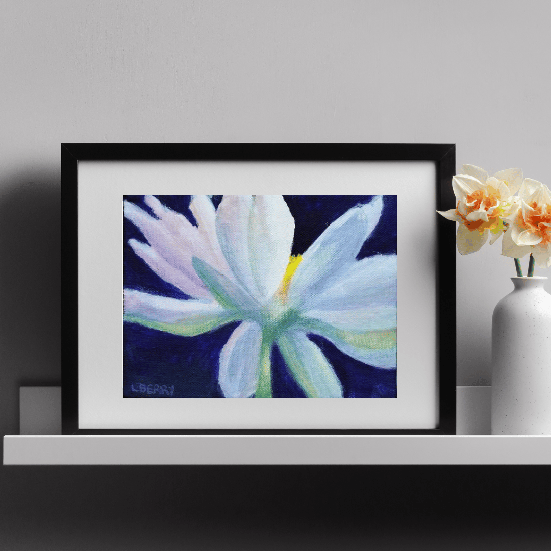 Water Lily From Below