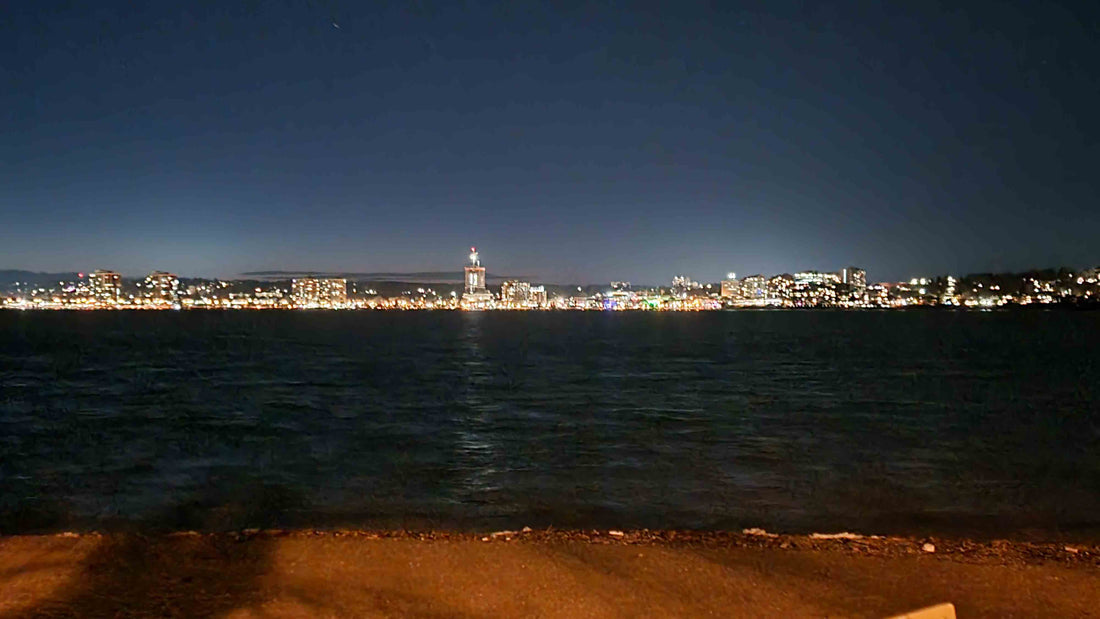 Cityscape at night with lake, Barrie Ontario, Minet's Point